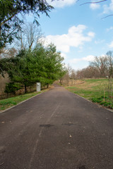 Fototapeta na wymiar A Blacktop Pathway in a Grassy Tree Filled Park
