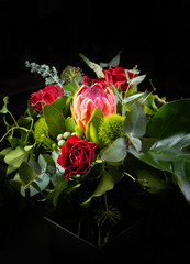 Nice closeup bouquet with red rose and giant protea, on black background, vertical photo. Useful for greeting cards, instagram and print design