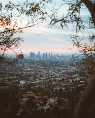 Canyon View Of Los Angeles