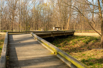 A Small Boardwalk With Benches on it in a Park