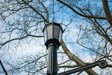 Fototapeta na wymiar An Old Fashion Street Lamp Against a Blue Sky and a Dead tree