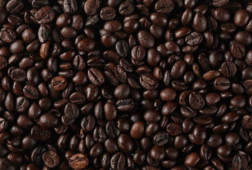 Fototapeta premium Coffee beans background and texture
