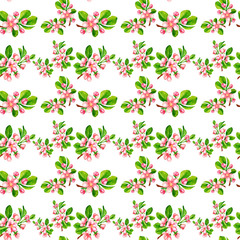 seamless pattern with pink Apple blossoms on a white background