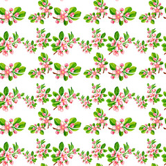 seamless pattern with pink Apple blossoms on a white background