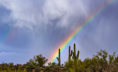 Vibrant Colored Rainbow Over North Scottsdale, AZ
