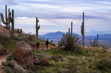 Hikers On Elevated Trail In Scottsdale AZ