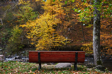 Romantic seating bench near the river