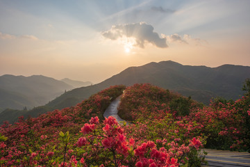 The natural scenery of China in spring.