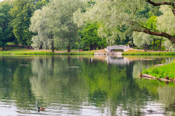 Fototapeta premium Lake with old bridge in a park in Gatchina, Russia