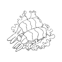 Hand-drawn shrimps isolated on a white background