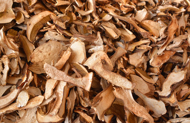 Texture of dried porcini mushrooms in flat lay angle.