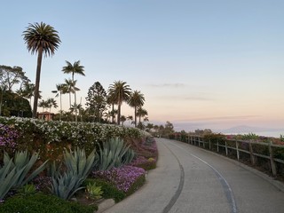 Fototapeta premium road in california