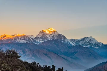 Poster Dhaulagiri Beautiful sunrise light kissing Dhaulagiri mountain summit viewed from Poonhill Ghorepani Nepal