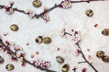 Spring or Easter border background