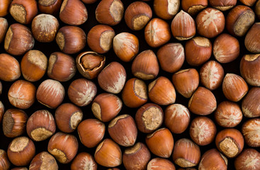 Close-up taken of Shelled Hazelnuts Background,flat layout