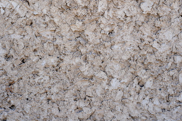 Gray white rough abstract stucco texture for background