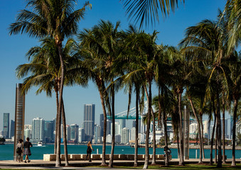 Obraz premium Miami Skyline and Port of Miami with Palm trees.