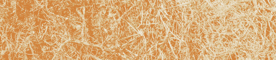 Obraz premium abstract pale brown and white colors background for design