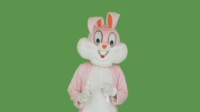 Eeaster rabbit got sick, takes medicine, tablets. Man in plush bunny suit holds glass drinks drug or syrup