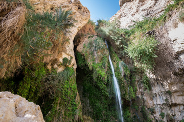 Ein Gedi National Park at Southern Israel