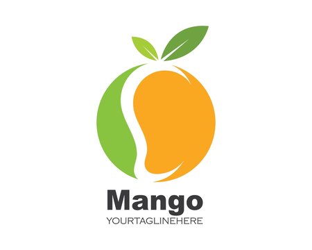 mango fruit vector illustration