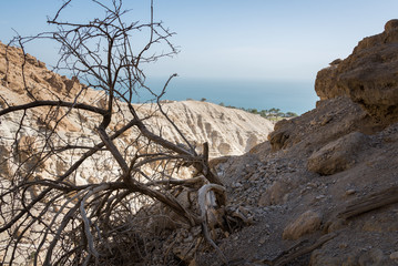 Ein Gedi National Park at Southern Israel