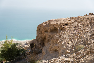 Ein Gedi National Park at Southern Israel