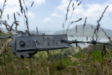 barbed wire on the field