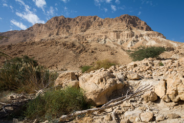 Fototapeta premium Ein Gedi National Park at Southern Israel
