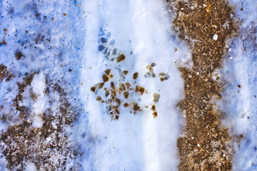 Ice and snow on  back country gravel roads