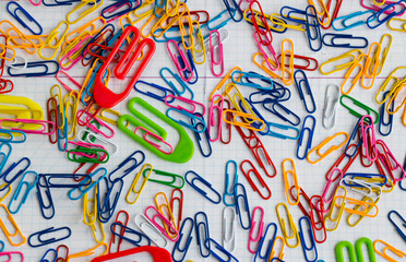 Fototapeta na wymiar Colorful Paperclips Background on the checkered white paper,above view.Conceptual image of education