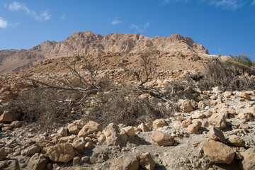 Ein Gedi National Park at Southern Israel