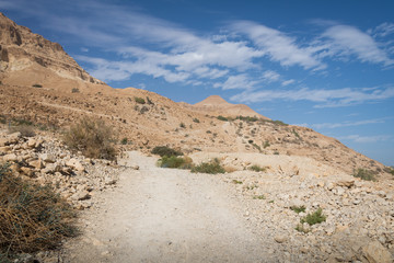 Fototapeta na wymiar Ein Gedi National Park at Southern Israel