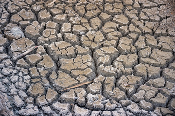 Cracked soil