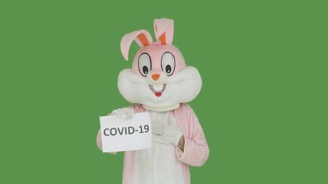 Easter Bunny is sad on chroma key, green screen. Easter rabbit holds shows poster with covid-19, coronavirus. Easter cancelled quarantine