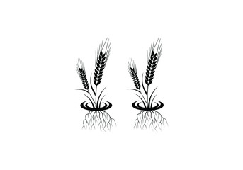Wheat Ears Icon and Logo. For Identity Style of Natural Product Company and Farm Company. Agricultural symbols isolated on white background.