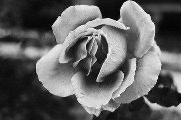 Processed with VSCO with b1 preset