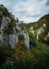waterfall in the mountains