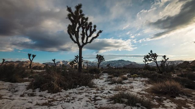 Gray Clouds Soaring High Over The Snowy Mountain With Joshua Trees In California, USA On A Sunset - Timelapse