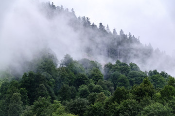 High mountain with green slopes hidden in clouds and fog.