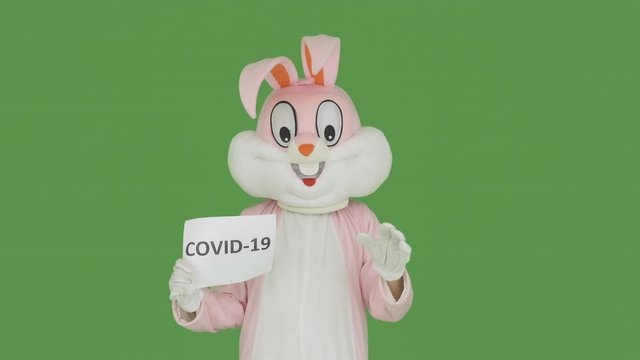 Easter Bunny or Rabbit fights destroys covid-19, coronavirus, virus, microb on Chroma key, green screen. Easter party 2020 cancelled