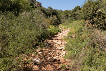 Tel Yodfat National Park