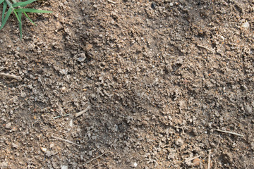 Image if black Soil as texture or background.