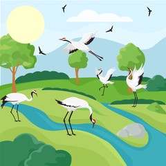 Cranes bird flock in wildlife vector illustration hand drawn. Natural scenery wallpaper background with japanese red crowned cranes. Landscape with grassland, water, mountain, and trees. - obrazy, fototapety, plakaty