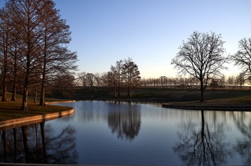 Fototapeta na wymiar Lake with tree reflection in downtown St. Louis Missouri Park; St. Louis Missouri Urban Landscape