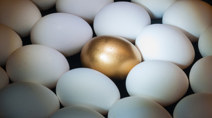 Golden Eggs are Rare