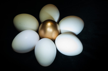 Golden Egg surrounded by Regular White Ones