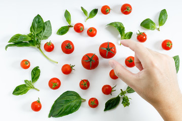 red cherry tomato and basil leaf on white background