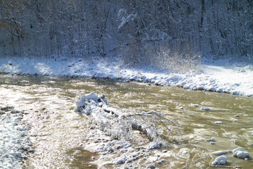 A large tree was carried by a stormy stream of a mountain river.
