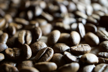coffee beans background